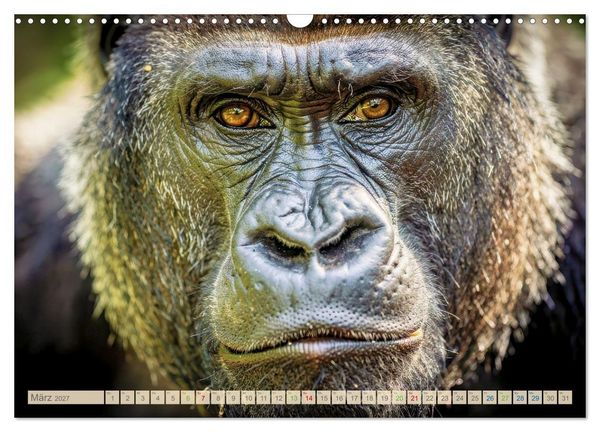 Produktbild: Die Augen der Wildnis (Wandkalender 2027 DIN A3 quer), CALVENDO Monatskalender