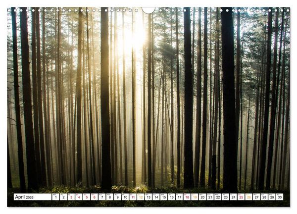 Produktbild: Four seasons in Estonia (Wall Calendar 2026 DIN A3 landscape), CALVENDO 12 Month Wall Calendar