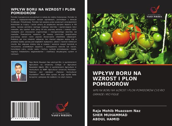 Produktbild: Wp&iquest;yw Boru Na Wzrost I Plon Pomidor&oacute;w