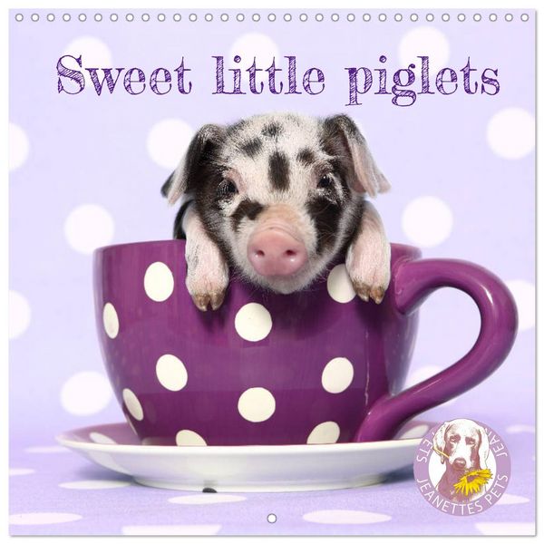 Produktbild: Sweet little piglets (Wall Calendar 2026 12 &times; 12 Inch) CALVENDO 12 Month Wall Calendar