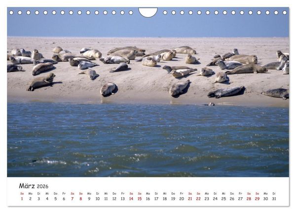 Produktbild: Nordsee, Meer, Strand und Wind (Wandkalender 2026 DIN A4 quer), CALVENDO Monatskalender