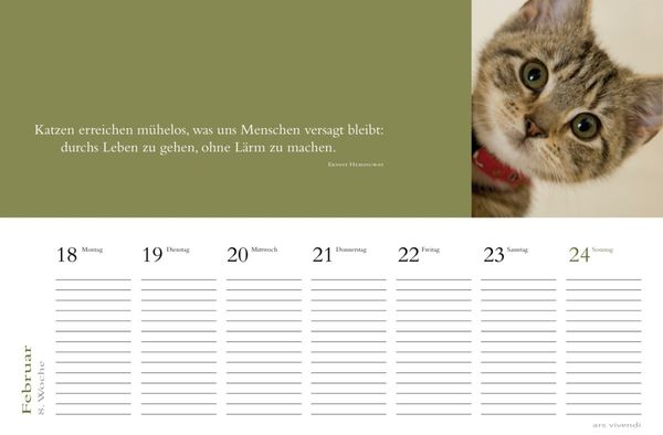 Produktbild: Literarischer Tischkalender Katzen 2013
