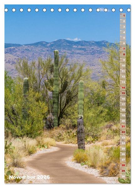 Produktbild: SAGUARO NATIONAL PARK W&uuml;stenimpressionen aus Arizona (Tischkalender 2026 DIN A5 hoch), CALVENDO Monatskalender