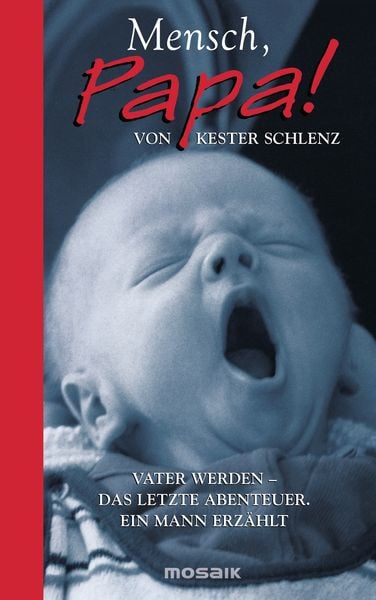 Mensch, Papa!, Gebundene Ausgabe von Kester Schlenz, Mosaik