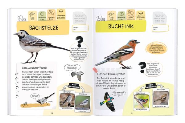 Produktbild: R&auml;tseln, Stickern, Bestimmen - V&ouml;gel