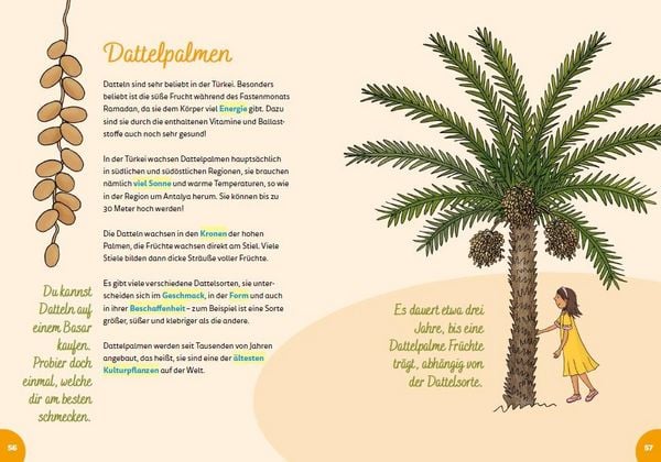 Produktbild: Türkei for kids