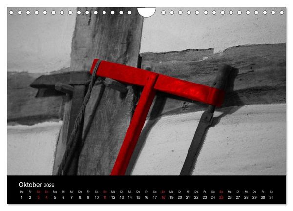 Produktbild: Blickfang in Rot (Wandkalender 2026 DIN A4 quer), CALVENDO Monatskalender
