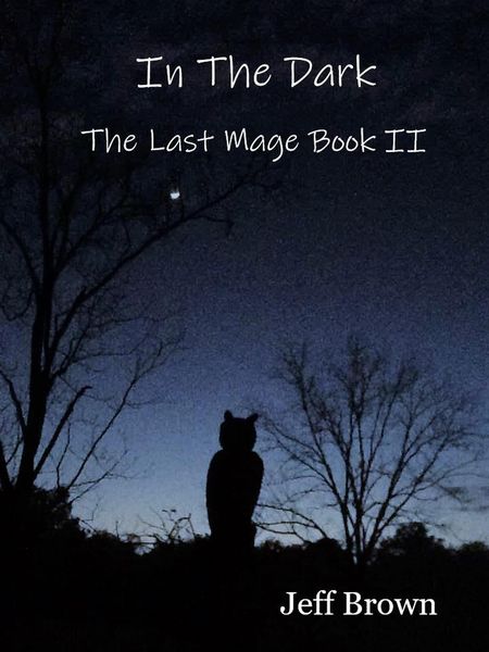 Produktbild: In The Dark: The Last Mage Book II