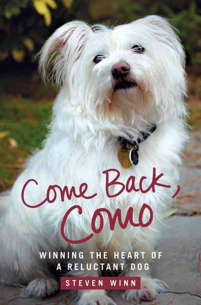 Produktbild: Come Back Como