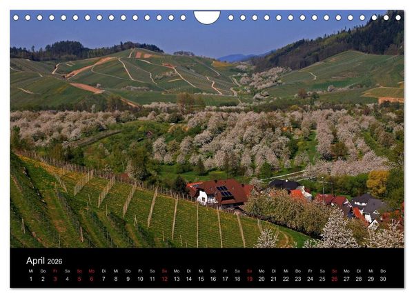 Produktbild: Mein Ortenaukalender 2026 (Wandkalender 2026 DIN A4 quer), CALVENDO Monatskalender
