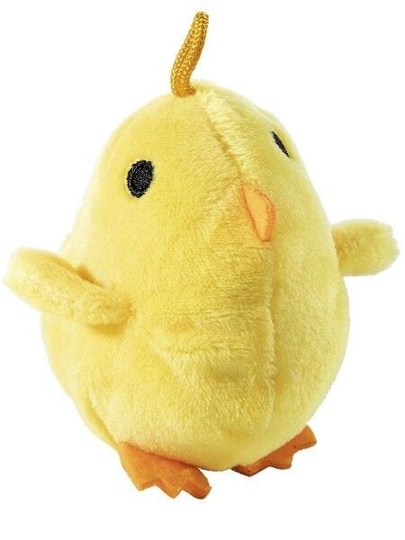 Küken