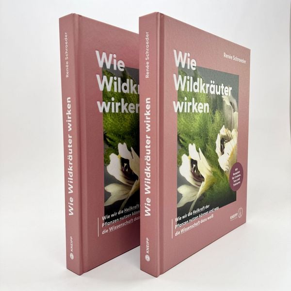 Produktbild: Wie Wildkr&auml;uter wirken