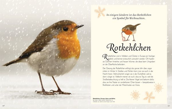 Produktbild: Wundervolle Welt der Vögel