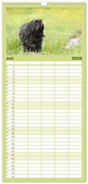 Produktbild: Familienplaner 2026 - Havaneser - Wirbelwinde aus Kuba mit 5 Spalten (Wandkalender, 21 x 45 cm) CALVENDO