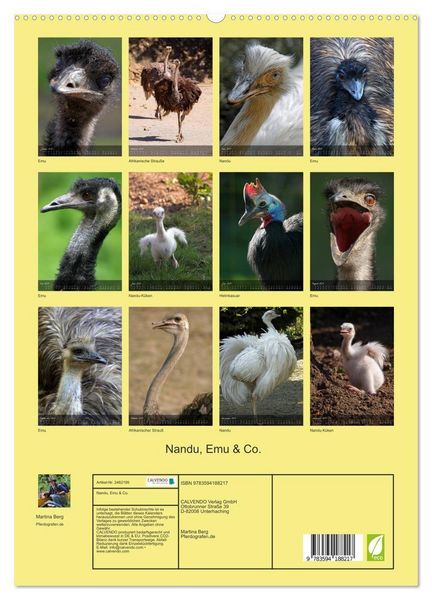 Produktbild: Nandu, Emu & Co. (hochwertiger Premium Wandkalender 2027 DIN A2 hoch), Kunstdruck in Hochglanz