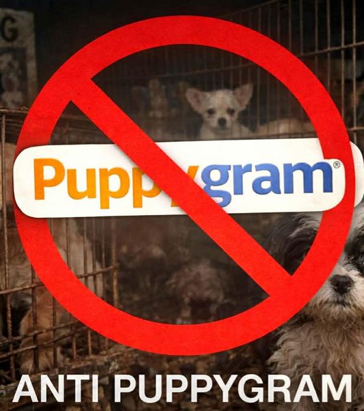 Produktbild: Anti Puppy Gram
