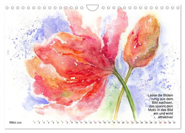 Produktbild: Mal mal Aquarell (Wandkalender 2026 DIN A4 quer), CALVENDO Monatskalender