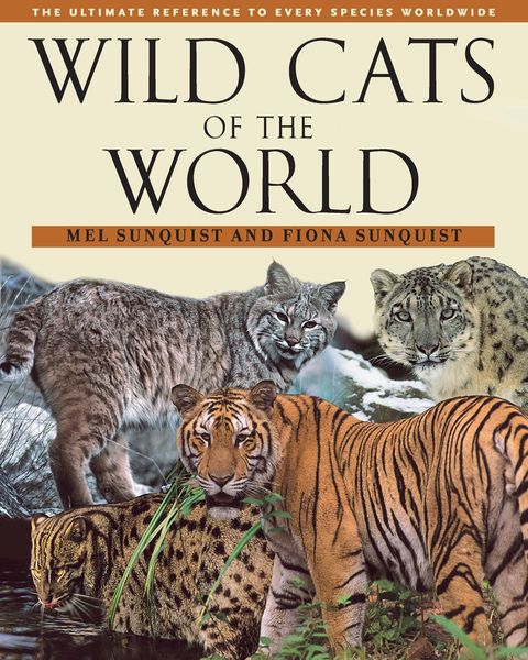 Produktbild: Wild Cats of the World