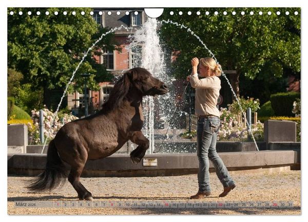 Produktbild: Natural Horsemanship - Partnerschaft mit Pferden (Wandkalender 2026 DIN A4 quer), CALVENDO Monatskalender
