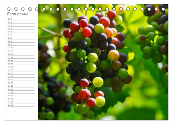 Produktbild: Wein (Tischkalender 2026 DIN A5 quer), CALVENDO Monatskalender