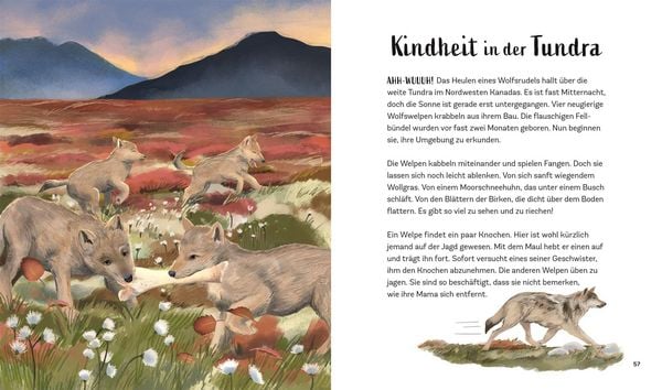 Produktbild: Tiergeschichten zum Tr&auml;umen. Zauber der Nacht
