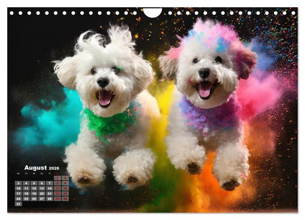 Produktbild: Holi Pulver - Doppelte Action (Wandkalender 2026 DIN A4 quer), CALVENDO Monatskalender