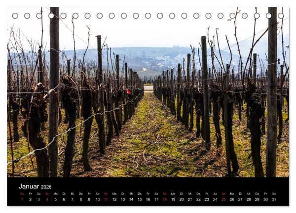 Produktbild: Das Jahr im Weinberg (Tischkalender 2026 DIN A5 quer), CALVENDO Monatskalender