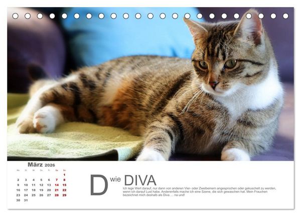 Produktbild: Katzen ABC (Tischkalender 2026 DIN A5 quer), CALVENDO Monatskalender