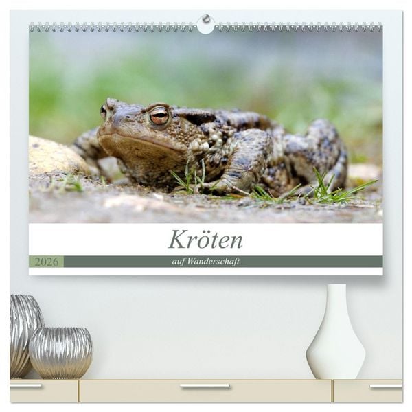 Produktbild: Kr&ouml;ten auf Wanderschaft (hochwertiger Premium Wandkalender 2026 DIN A2 quer), Kunstdruck in Hochglanz