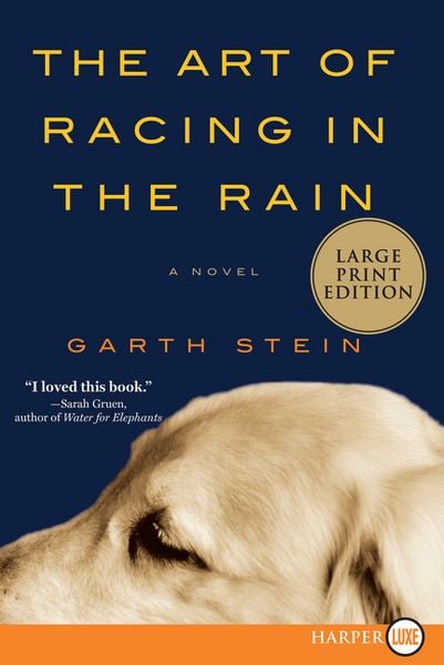 Produktbild: The Art of Racing in the Rain