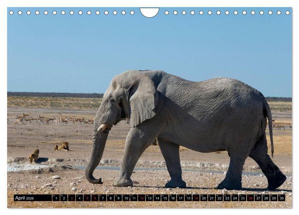 Produktbild: Faszination Namibia (Wandkalender 2026 DIN A4 quer), CALVENDO Monatskalender