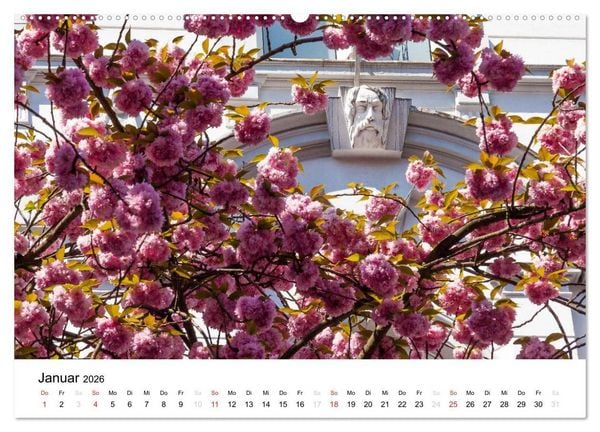 Produktbild: Bonn - Kirschbl&uuml;tenfest in der Altstadt (hochwertiger Premium Wandkalender 2026 DIN A2 quer), Kunstdruck in Hochglanz