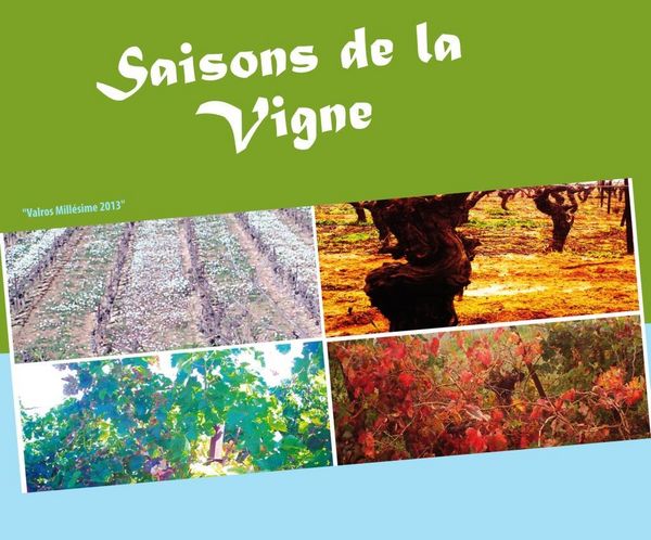 Produktbild: Saisons de la Vigne