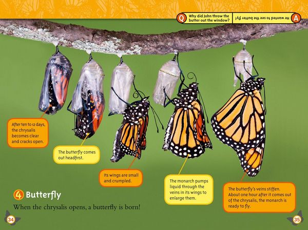 Produktbild: Nat Geo Reader - Butterflies