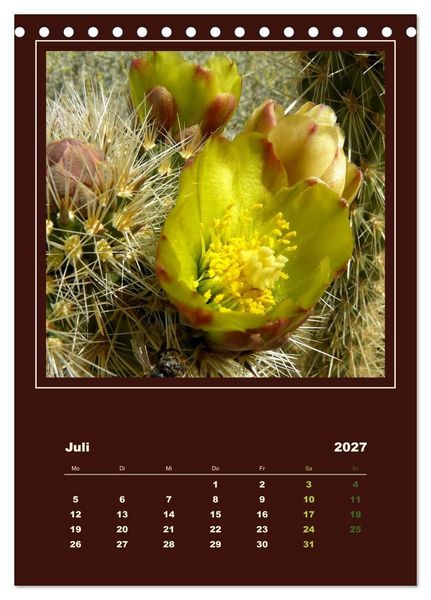Produktbild: Wilde Kakteen Amerikas (Tischkalender 2027 DIN A5 hoch), CALVENDO Monatskalender