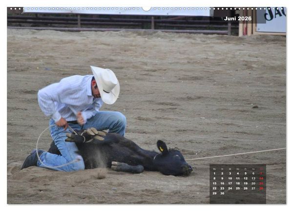 Produktbild: Faszination Rodeo (hochwertiger Premium Wandkalender 2026 DIN A2 quer), Kunstdruck in Hochglanz
