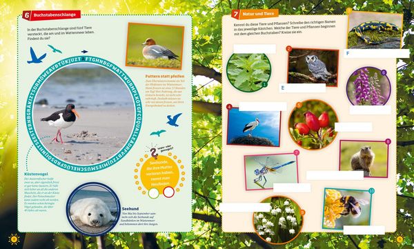 Produktbild: WAS IST WAS R&auml;tseln und Stickern: Natur