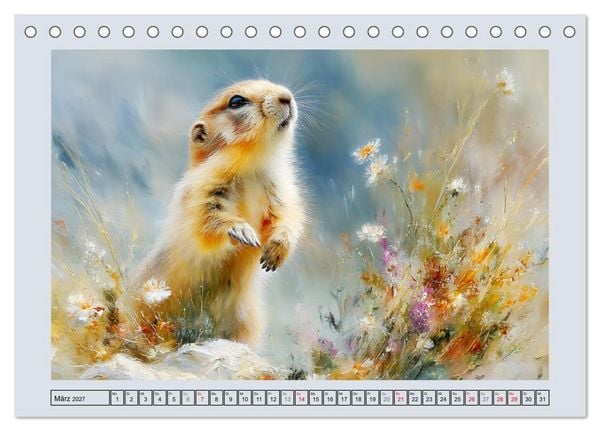 Produktbild: Murmeltiere. Kleine W&auml;chter der Berge (Tischkalender 2027 DIN A5 quer), CALVENDO Monatskalender