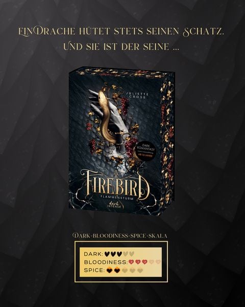 Produktbild: Flammensturm (Band 1) - Firebird