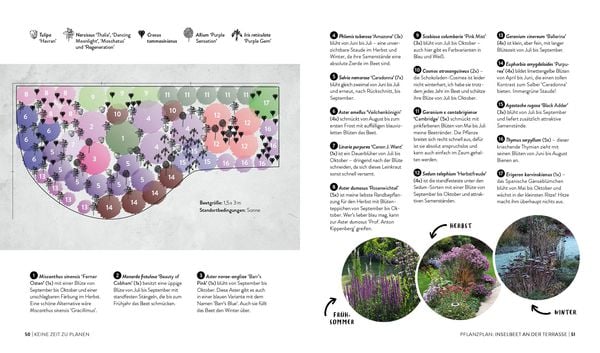 Keine Zeit zu gärtnern – Blumenparadies mit wenig Aufwand