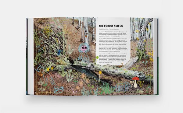 Produktbild: The Tomorrow Tree: How Nature Creates New Life From Old (2025)