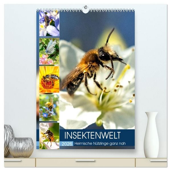 Produktbild: INSEKTENWELT - Heimische N&uuml;tzlinge ganz nah (hochwertiger Premium Wandkalender 2026 DIN A2 hoch), Kunstdruck in Hochglanz