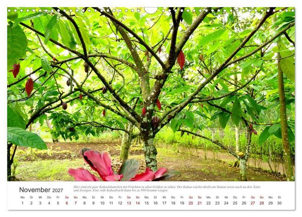 Produktbild: JAVA Natur pur (Wandkalender 2027 DIN A3 quer), CALVENDO Monatskalender
