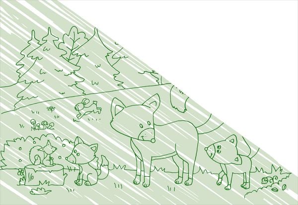 Produktbild: Zaubermalbuch. Tierkinder