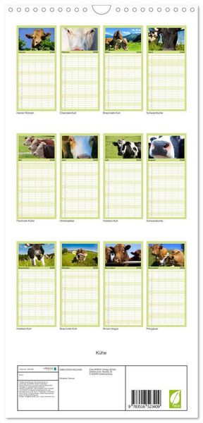 Produktbild: Familienplaner 2026 - K&uuml;he mit 5 Spalten (Wandkalender, 21 x 45 cm) CALVENDO