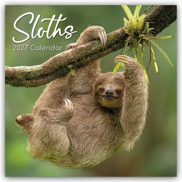 Produktbild: Sloths &ndash; Faultiere 2027 &ndash; 16-Monatskalender