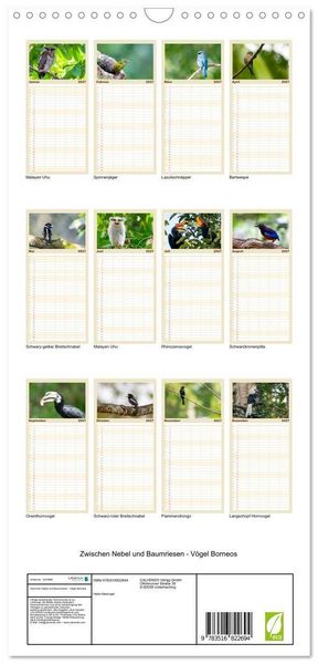 Produktbild: Familienplaner 2027 - Zwischen Nebel und Baumriesen - V&ouml;gel Borneos mit 5 Spalten (Wandkalender, 21 x 45 cm) CALVENDO