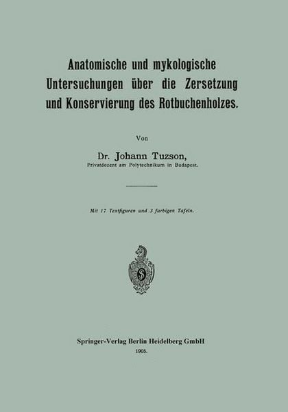 Produktbild: Anatomische und mykologische Untersuchungen &uuml;ber die Zersetzung und Konservierung des Rotbuchenholzes