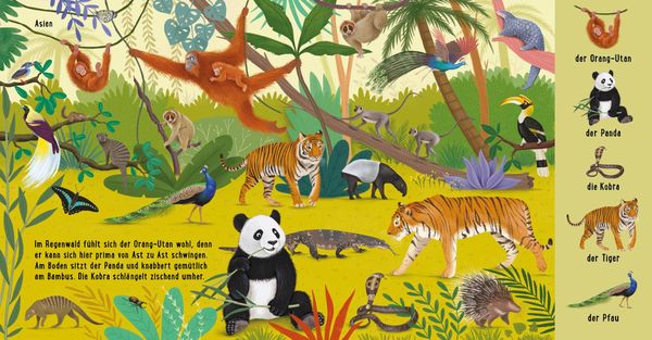 Produktbild: Mein erstes Natur-Wimmelbuch: Tiere aus aller Welt