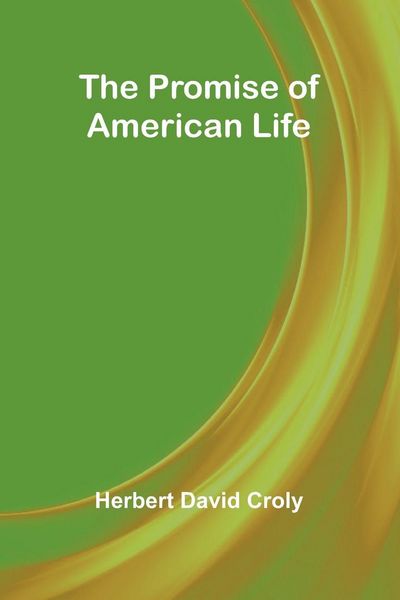 Produktbild: The Promise of American Life
